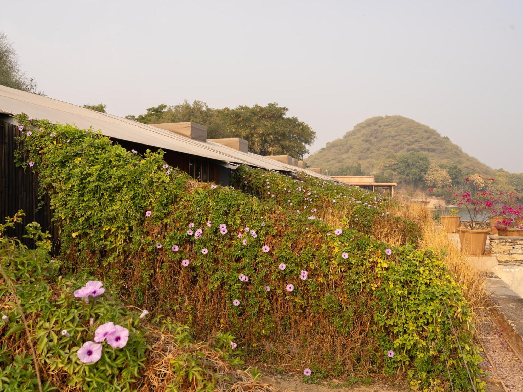 Raas Chhatrasagar, Nimaj, District Pali Exterior photo